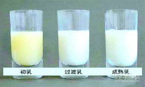 吸奶器吸出來的母乳可以放幾個小時(吸奶器吸出來的母乳常溫可以放多久)縮略圖