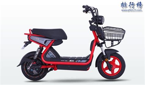 電動自行車哪個牌子最好質量最好(電動自行車哪個品牌最好)縮略圖
