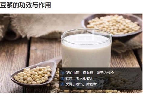 豆漿機食譜菜譜大全(豆漿機食譜菜譜大全圖片)縮略圖
