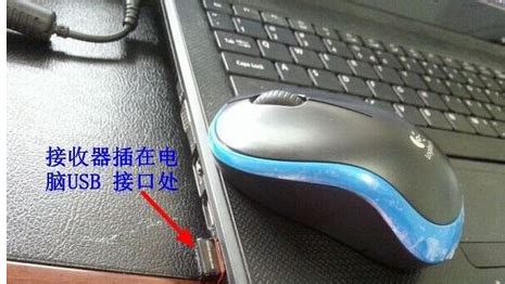 無線鼠標(biāo)怎么連接電腦,無線鼠標(biāo)怎么連接電腦筆記本縮略圖