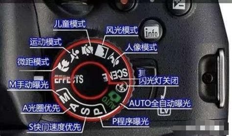 單反相機入門怎么選擇(單反相機入門怎么選擇 知乎)縮略圖