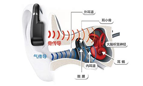骨傳導耳機怎么戴(骨傳導耳機怎么戴最合適)縮略圖