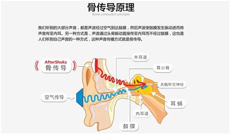 骨傳導耳機的危害性(骨傳導耳機的危害性有多大)縮略圖