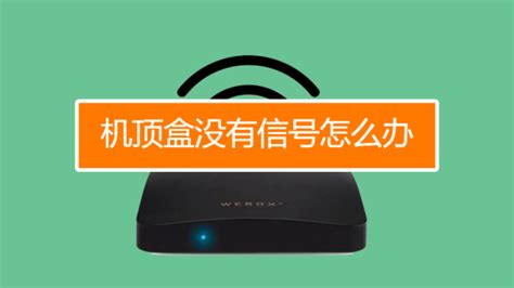 機頂盒無信號怎么辦(機頂盒無信號怎么辦維修電話)縮略圖