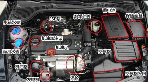 玻璃水加在車哪個位置,玻璃水加在車哪個位置圖片縮略圖