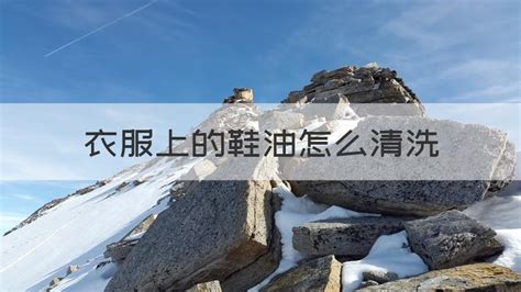 鞋油弄衣服上怎么洗,鞋油弄衣服上怎么洗掉縮略圖