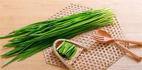 現在適合種什么蔬菜(現在適合種什么蔬菜4月份)縮略圖