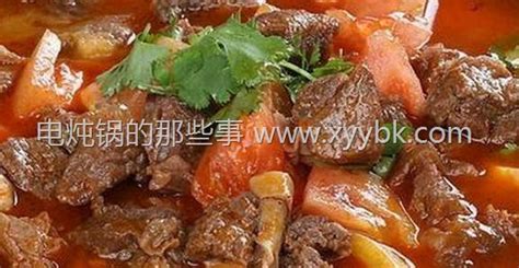 電燉鍋食譜大全及做法,電燉鍋食譜大全及做法竅門縮略圖