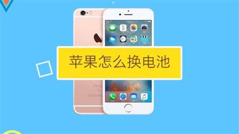 手機(jī)換電池?cái)?shù)據(jù)怎么備份(手機(jī)換電池?cái)?shù)據(jù)怎么備份到電腦)縮略圖