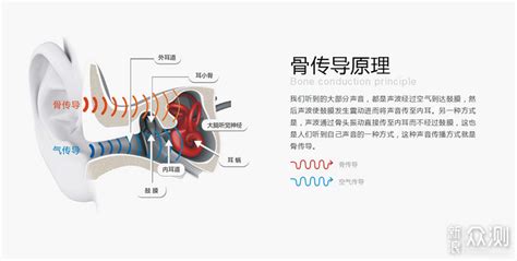骨傳導耳機原理(骨傳導耳機原理與結構)縮略圖