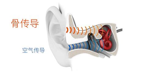 骨傳導(dǎo)藍(lán)牙耳機(jī)與入耳式藍(lán)牙耳機(jī)哪個(gè)好(骨傳導(dǎo)藍(lán)牙耳機(jī)排行榜10強(qiáng))縮略圖