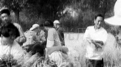 知識青年上山下鄉(xiāng),知識青年上山下鄉(xiāng)是哪年開始的縮略圖