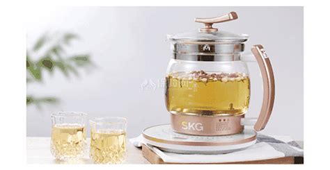 養生壺怎么用視頻教程(養生壺怎么用視頻教程竅門)縮略圖