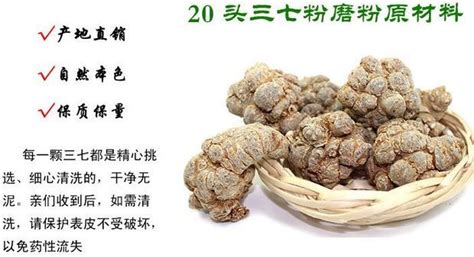三七粉的正確吃法(三七粉的正確吃法一天吃幾次)縮略圖