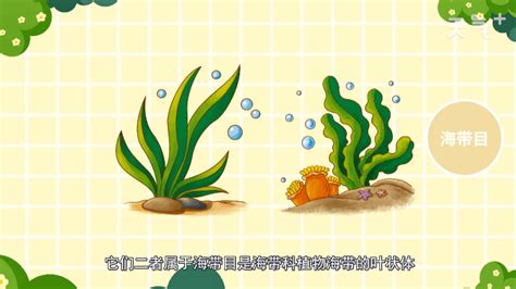 昆布和海帶的區(qū)別(昆布和海帶的區(qū)別圖片)縮略圖