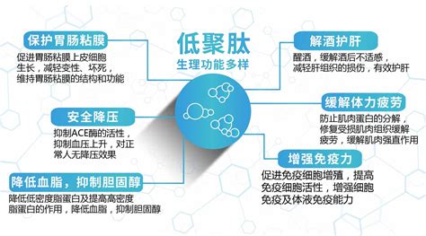 國珍肽粉的功效與作用,國珍肽粉的功效與作用真的管用嗎縮略圖