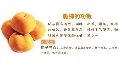 小柿子的營養與功效,小柿子的營養與功效與作用縮略圖