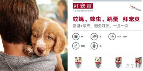 拜寵清多久用一次,拜寵清多少錢一盒縮略圖