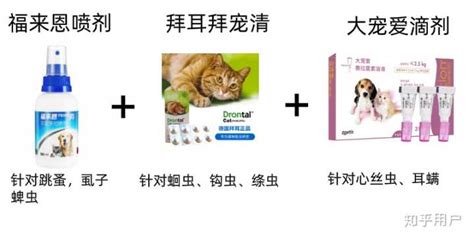 拜寵清驅蟲藥說明書(拜寵清驅蟲藥說明書圖片)縮略圖