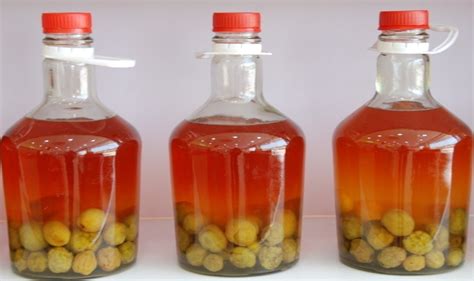 梅子酒制作方法,梅子酒制作方法比例縮略圖