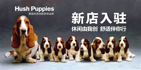 暇步士是什么狗,暇步士是什么狗巴吉度狗價格縮略圖