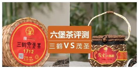 六堡茶品牌排行榜前十名(六堡茶品牌排行榜前十名中國品牌網)縮略圖