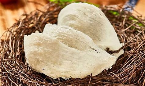 燕窩果是哪里的特產(chǎn)(燕窩果是哪里的特產(chǎn)水果)縮略圖