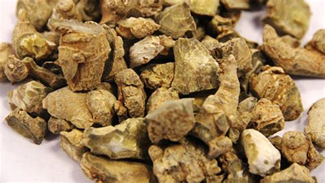 三七粉的副作用和危害(三七粉的作用和功能主治)縮略圖