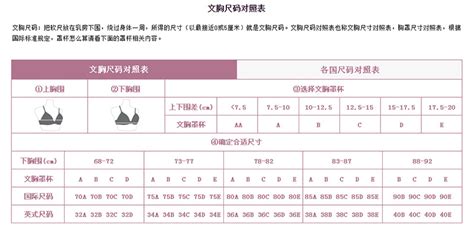 文胸尺碼對照表,文胸尺碼對照表標準版中國縮略圖