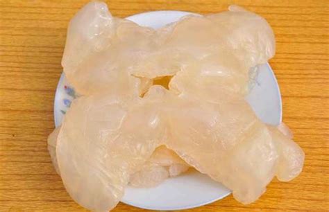 海蜇頭價格多少錢一斤,海蜇頭價格多少錢一斤5-50縮略圖