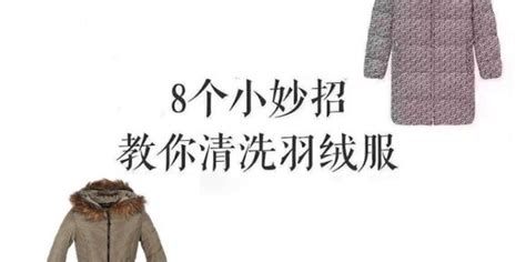 羽絨服污漬去除妙招(羽絨服頑固污漬去除妙招)縮略圖