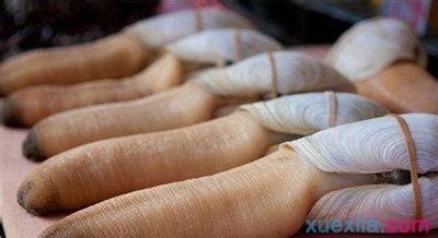 象牙蚌好吃嗎,象拔蚌哪里最好吃縮略圖