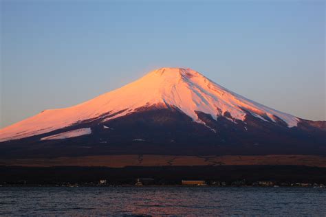 紅富士(紅富士蘋果產地在哪里)縮略圖
