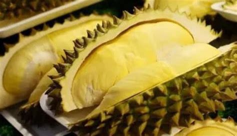 廣西榴蓮一斤多少錢,廣西榴蓮批發(fā)多少錢一斤縮略圖