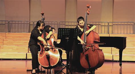 低音提琴彈唱,低音提琴彈唱教學視頻縮略圖