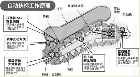 扶梯原理與結構圖解(扶梯原理與結構圖解視頻)縮略圖