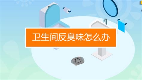 衛(wèi)生間反臭味怎么辦(衛(wèi)生間下水道冒臭氣怎么辦)縮略圖