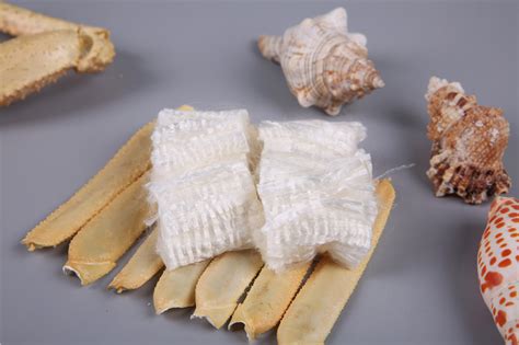 甲殼素殼聚糖(甲殼素殼聚糖功效與作用)縮略圖