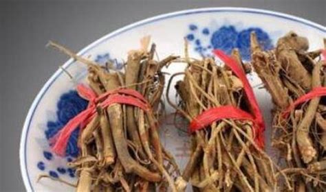 牛奶根的功效與作用(牛奶根的功效與作用圖片)縮略圖