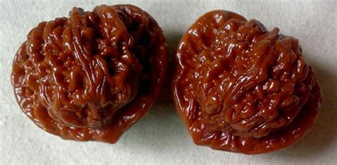 文玩核桃什么品種最好最貴(文玩核桃什么品種最好最貴價格是多少)縮略圖