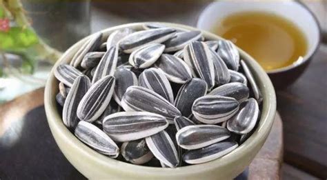 吊瓜子吃了有什么好處和壞處,吊瓜子與瓜蔞子的區別縮略圖