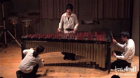 馬林巴琴演奏,馬林巴琴演奏方法縮略圖