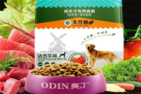 狗糧排名前十品牌(狗糧排名前十品牌價格)縮略圖