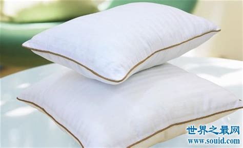 枕頭品牌排行榜(枕頭品牌排行榜前十名)縮略圖