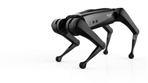 機器狗價格(unitree 機器狗價格)縮略圖