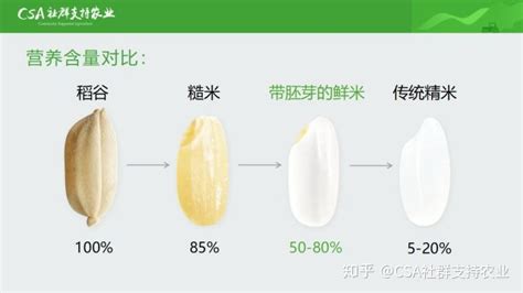 胚芽米和大米的區(qū)別(胚芽米和大米的區(qū)別是什么)縮略圖