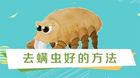 被子上的螨蟲怎么去除簡單方法,床上去螨蟲最有效的方法縮略圖