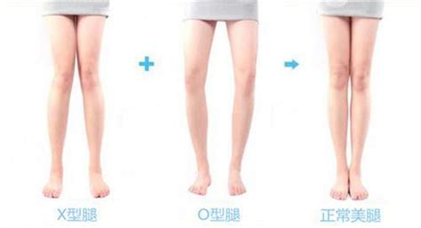 酒杯腿是什么意思,酒杯腿是什么意思為什么男生不娶縮略圖