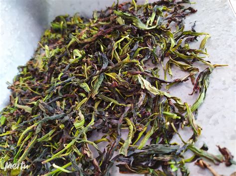 鳳凰單樅茶鴨屎香(鳳凰單樅茶鴨屎香沖泡方法)縮略圖
