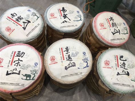 普洱生茶怎么區分好壞(普洱生茶怎么區分好壞的)縮略圖